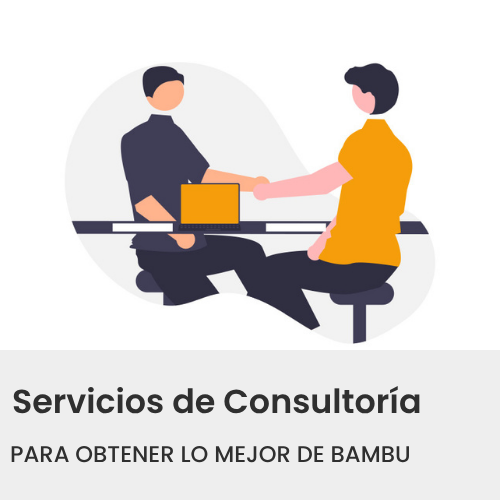 Servicios-de-Consultoria Servicios de Consultoría para obtener lo mejor de BAMBU